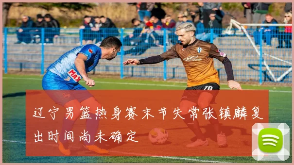 辽宁男篮热身赛末节失常张镇麟复出时间尚未确定